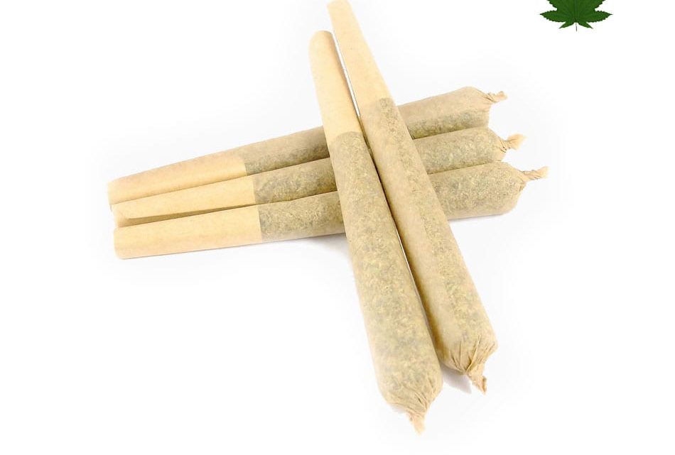 What are CBD joints for sale?